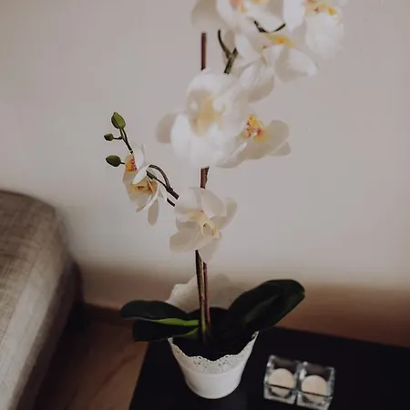Дом отдыха Apartamentos Quinta Do Lago Кинта-до-Лаго